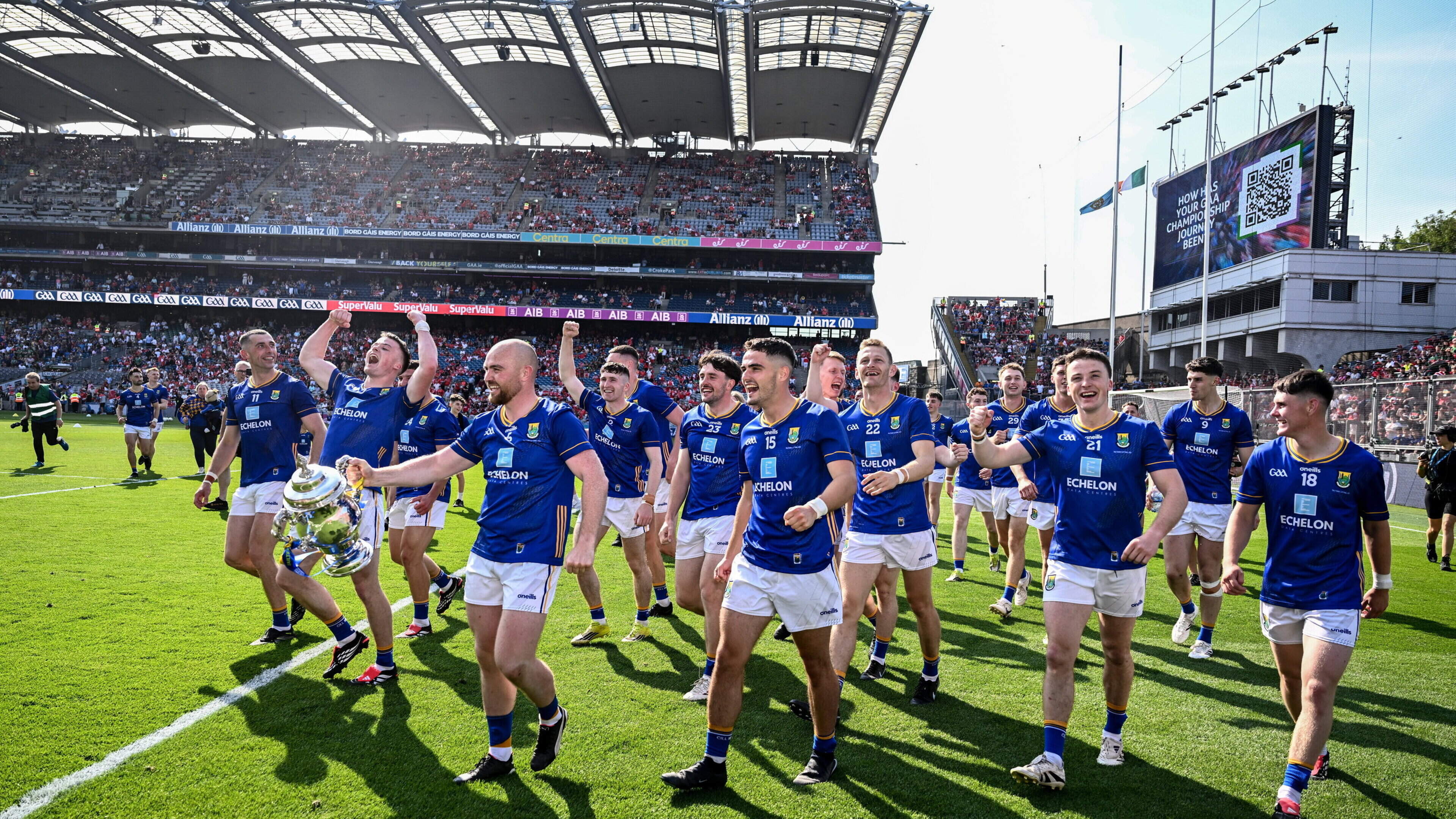 Tailteann Cup glory for Wicklow as they stage rousing fightback against Down